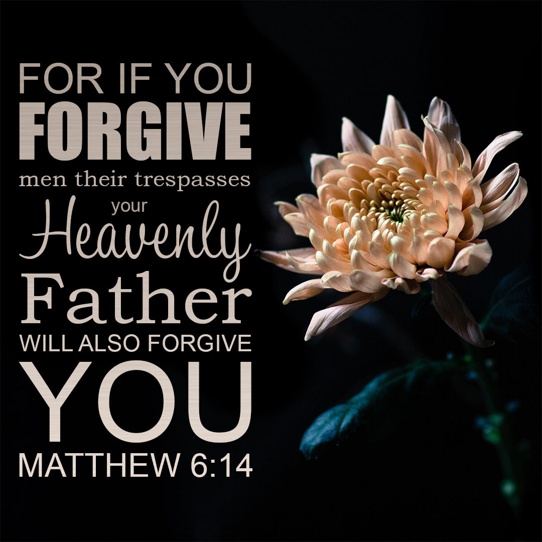 forgiveness-in-the-bible-matthew-bibletalkclub